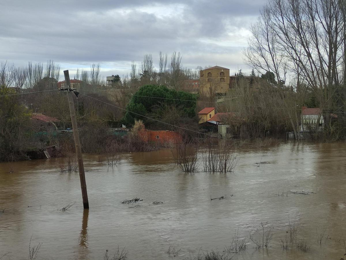 GALERÍA / El río Órbigo desbordado en Benavente, en imágenes GALERÍA / El río Órbigo desbordado en Benavente, en imágenes