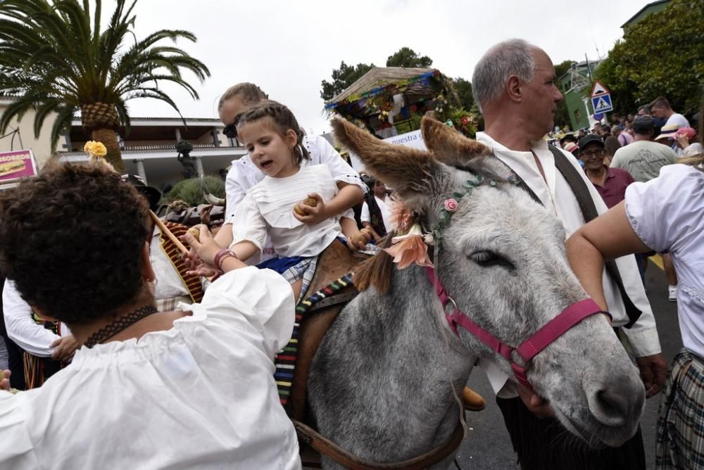 Romería en La Esperanza (El Rosario) 2019