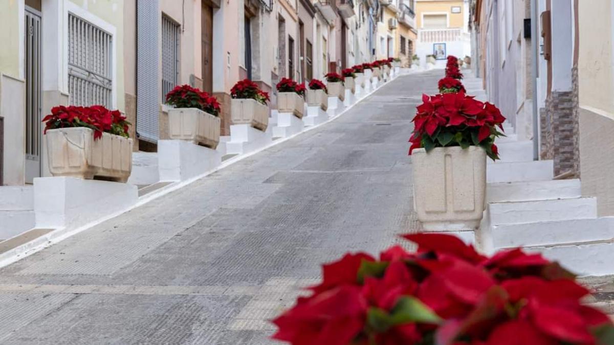 Decoración navideña con poinsettias.