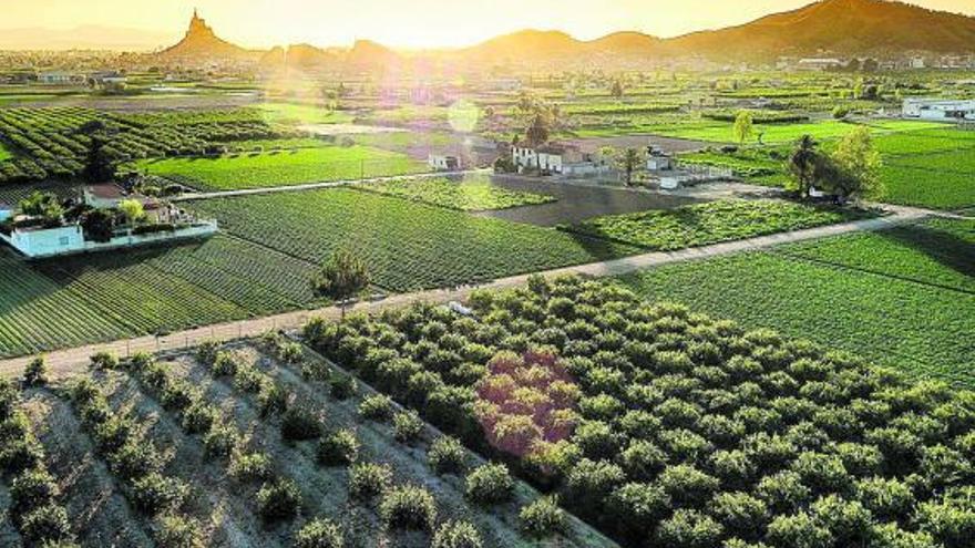 La ciudad de Murcia mira a su huerta y la ve como un elemento turístico a proyectar.