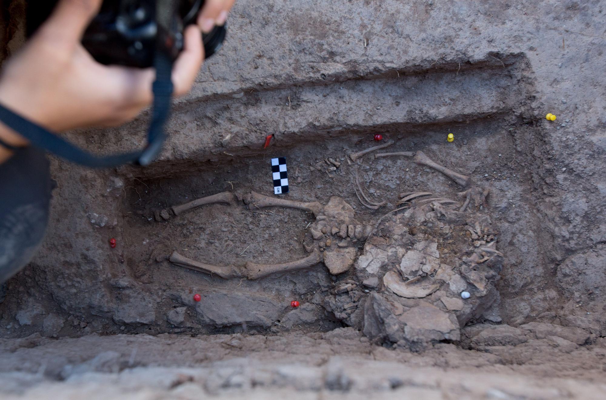 Exhumación en el cementerio de Alicante de los cuerpos represaliados durante la Guerra Civil