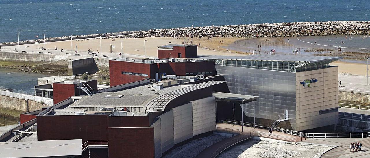 Vista aérea del Acuario  de Gijón.