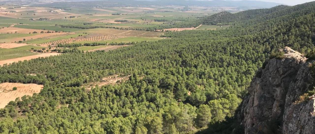 Panorámica del Valle de los Alhorines, en Villena, donde la Conselleria de Medio Ambiente ya ha rechazado la instalación de tres centrales fotovoltaicas. | J.C.P.G.