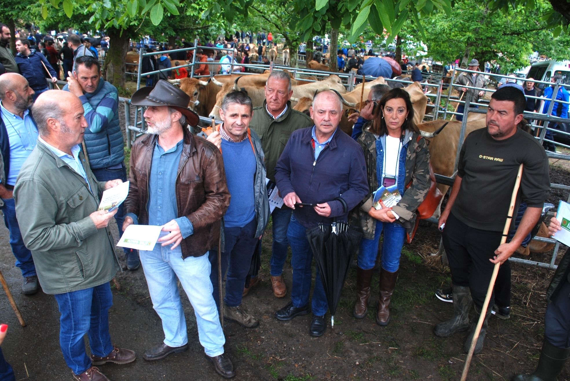 Feriona de Corao (Cangas de Onís)