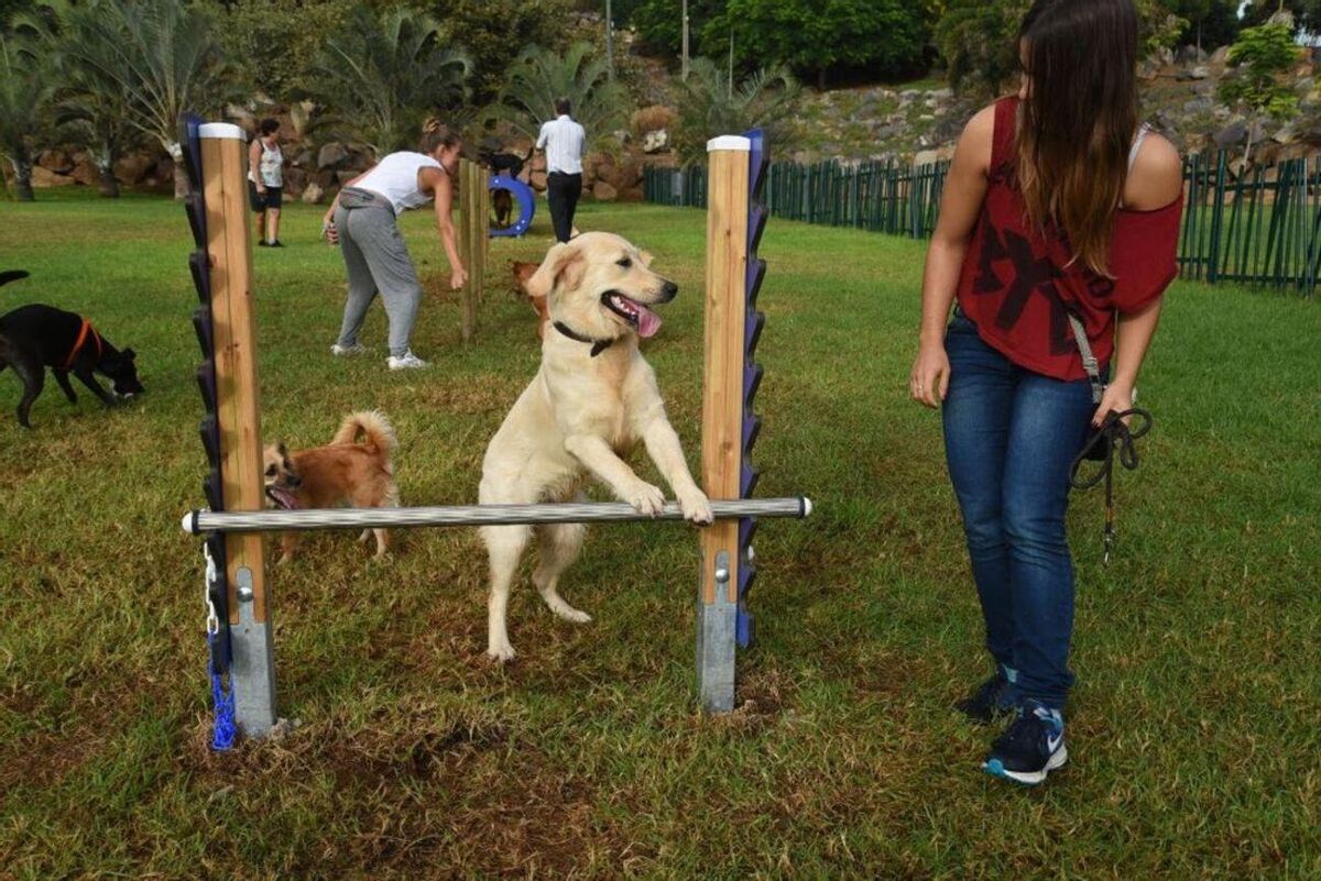 Parque canino en Cuchillitos de Tristán.