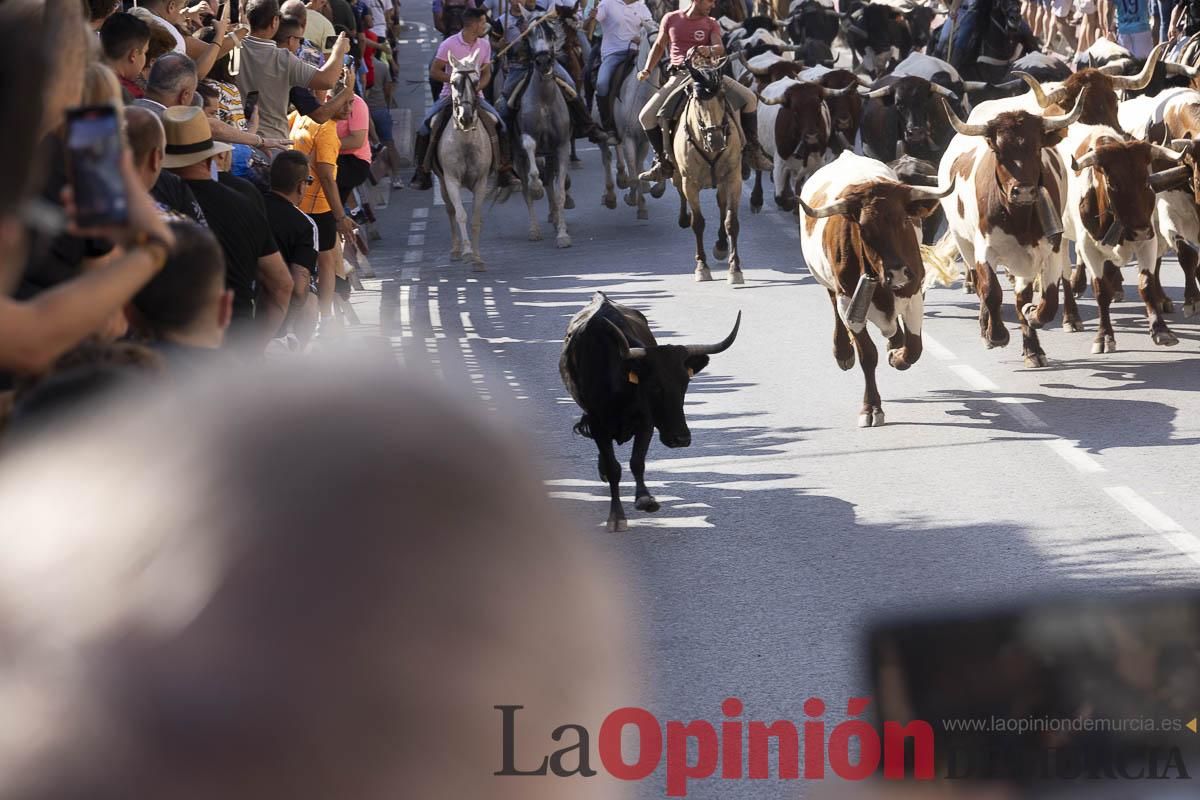 Séptimo encierro de las Fiestas de Moratalla