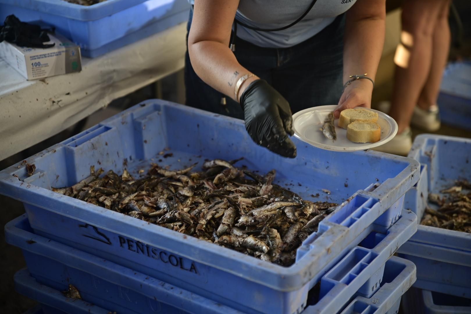 Galería | Torrà de sardinas en el Grau en Sant Pere
