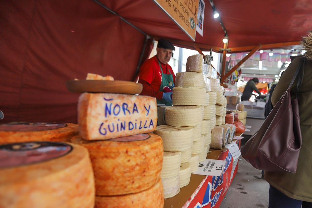 Romería de Santa Águeda en Catral