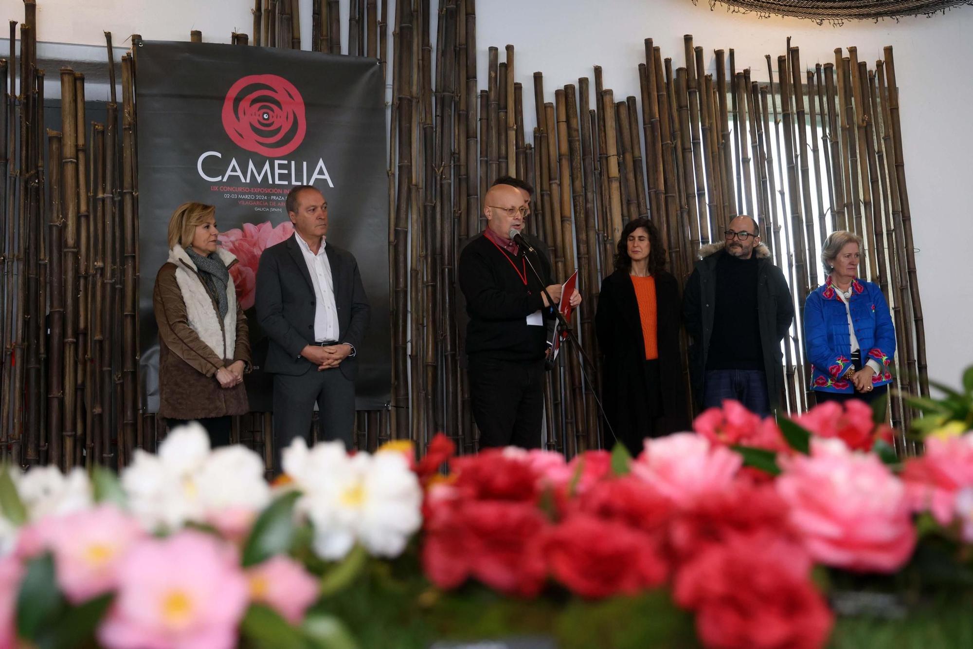 Así fue la 59 exposición internacional de la camelia, en Vilagarcía.