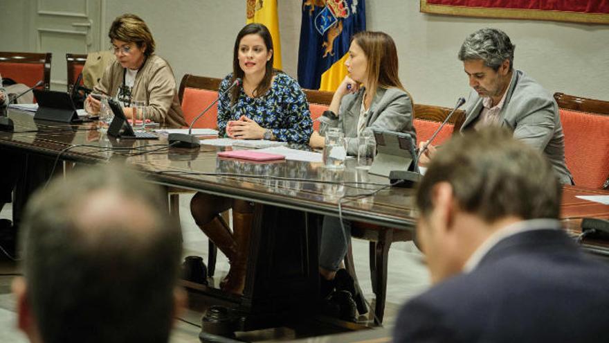 Comparencia de Yaiza Castilla Informar sobre la situación del turismo en el Archipiélago Parlamento de Canarias