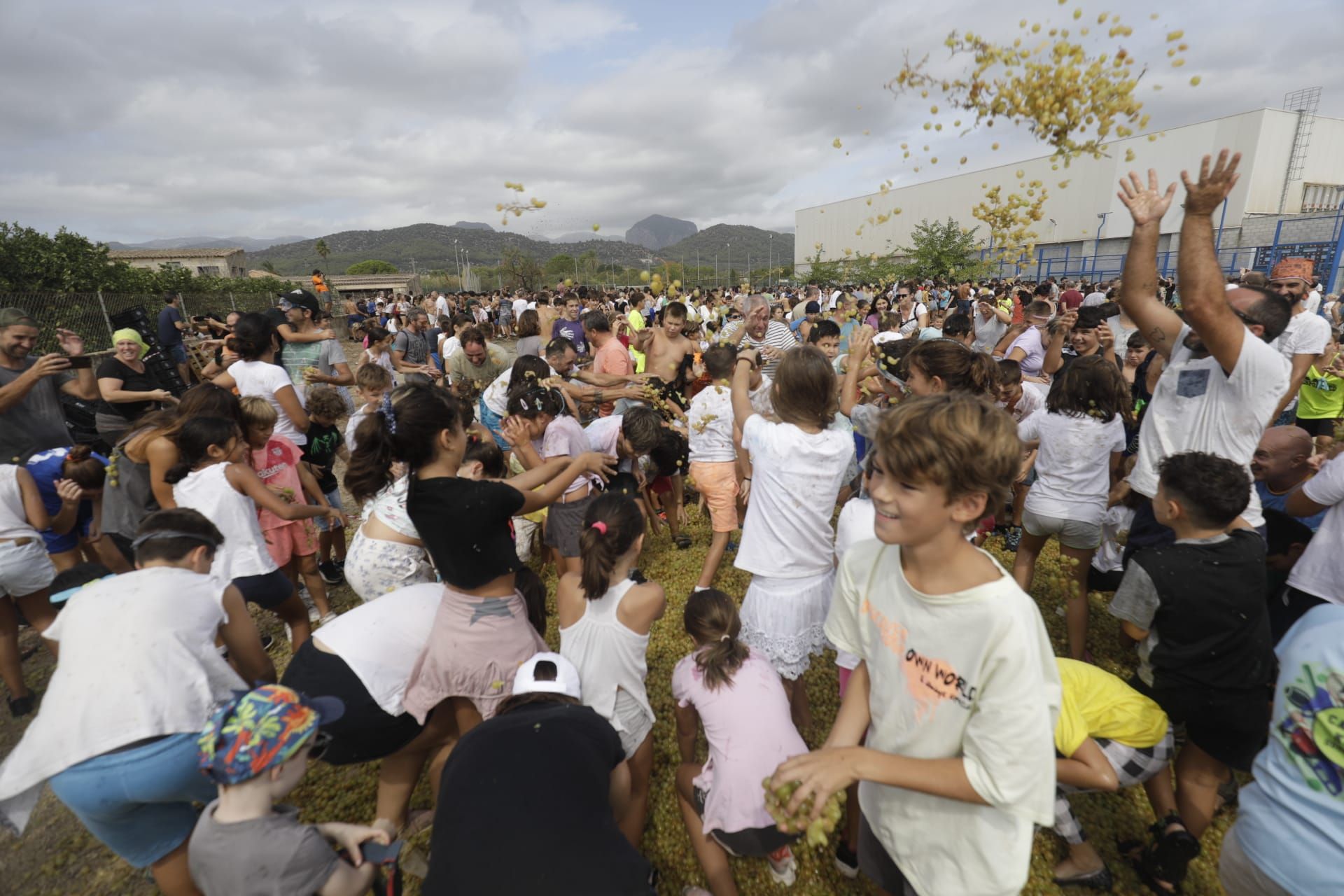 Batalla de uvas en Binissalem