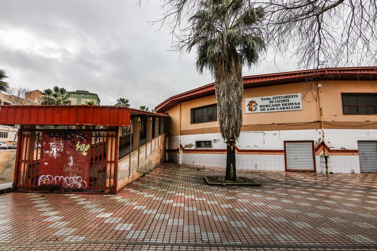 Galería | El Mercado Dehesa de los Caballos de Cáceres