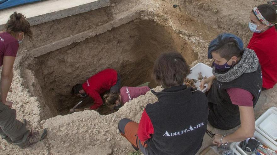 El bipartito de PP y Cs impulsa la exhumación de siete fosas comunes del cementerio de Alicante