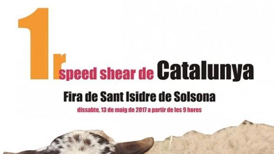 La Fira de Sant Isidre de Solsona acollirà el primer speed shear de Catalunya