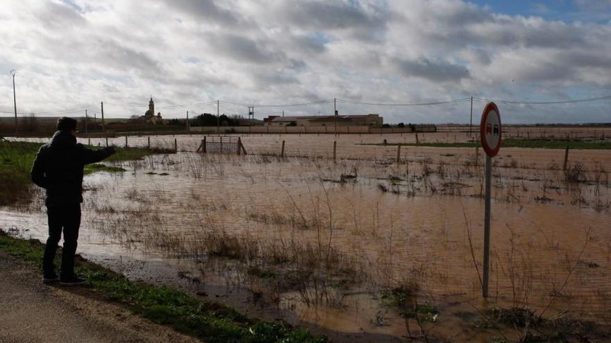 Campos de cultivo en Molacillos, anegados por el agua del Salado.