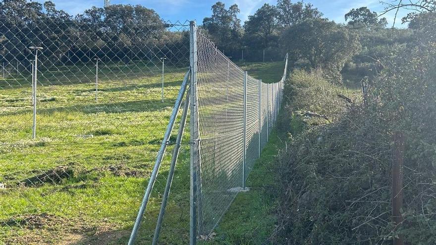 El Ayuntamiento de Calzadilla recuerda a los propietarios de solares que deben limpiarlos de malezas