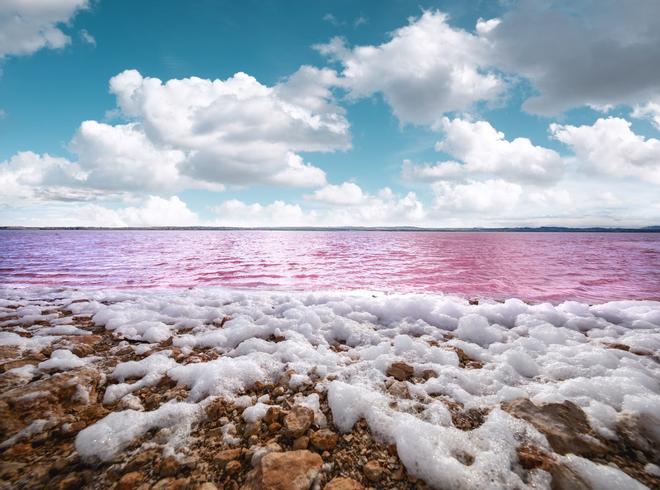 Salinas de Torrevieja, Alicante