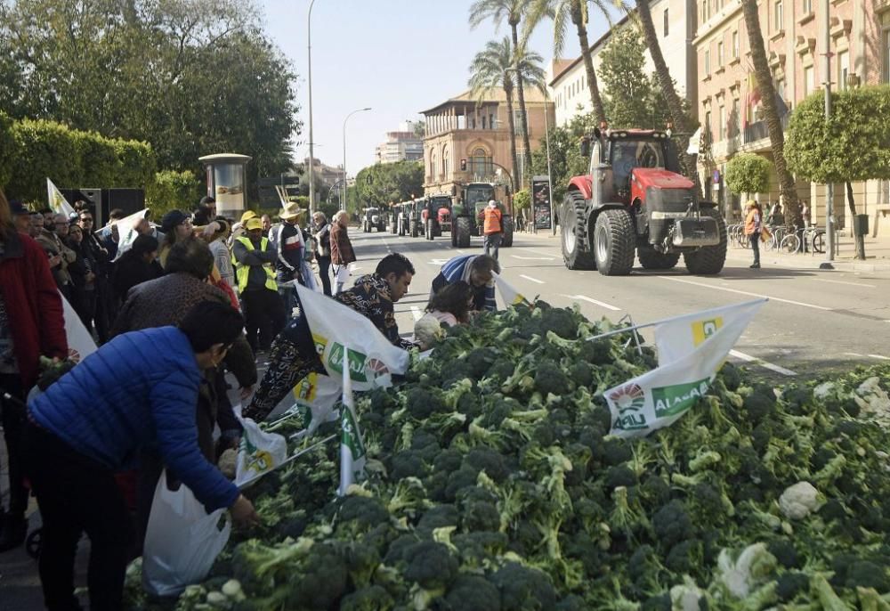 Así ha sido la manifestación de los agricultores en Murcia (II)