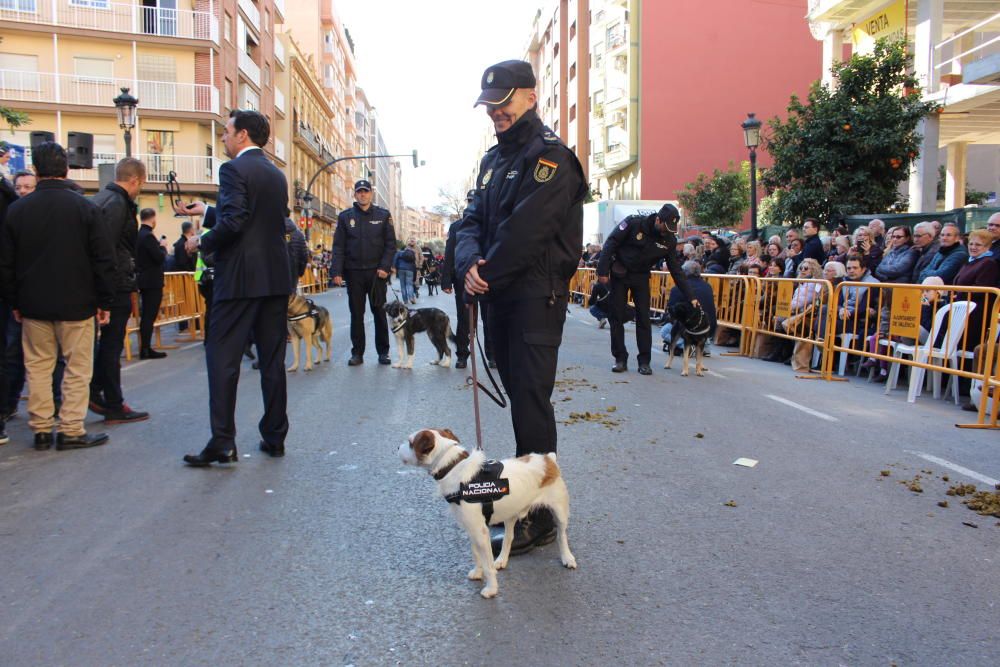 Fiesta de Sant Antoni en la ciudad de València