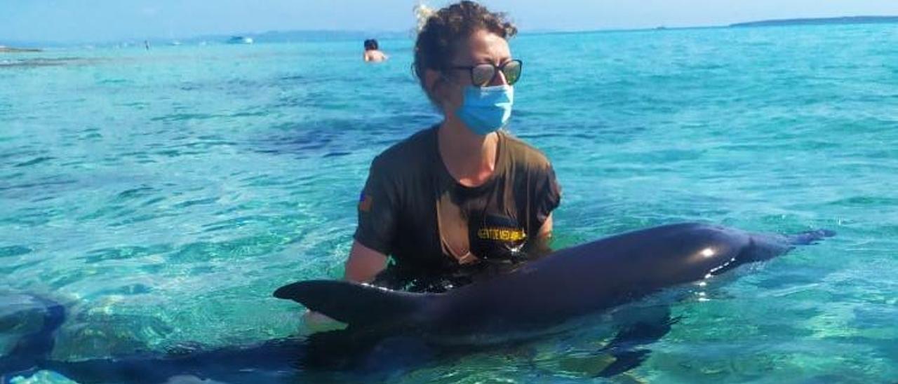 Intentan rescatar a un delfin despitado en la playa de Llevant en Formentera