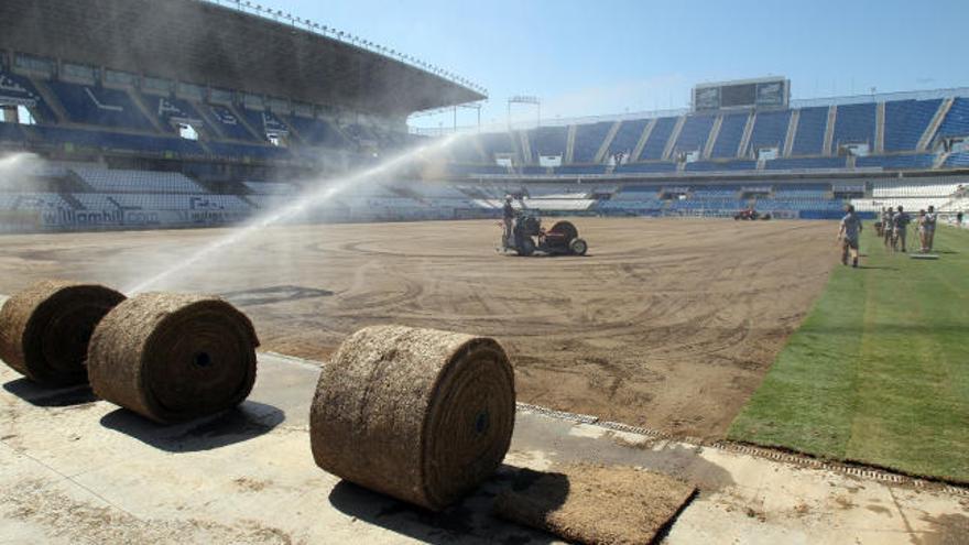 Colocan el nuevo césped y se negocia la contratación del jardinero del Mallorca