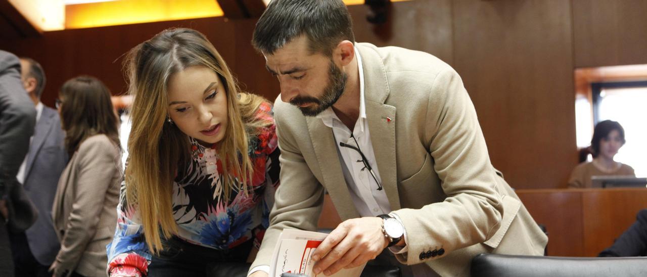 Maru Díaz (Podemos) y Álvaro Sanz (IU), durante una comisión en las Cortes.