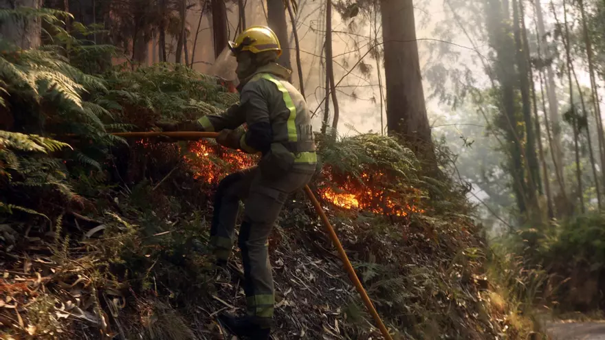 Las olas de calor intensifican la aparición de incendios forestales