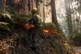 Las olas de calor intensifican la aparición de incendios forestales