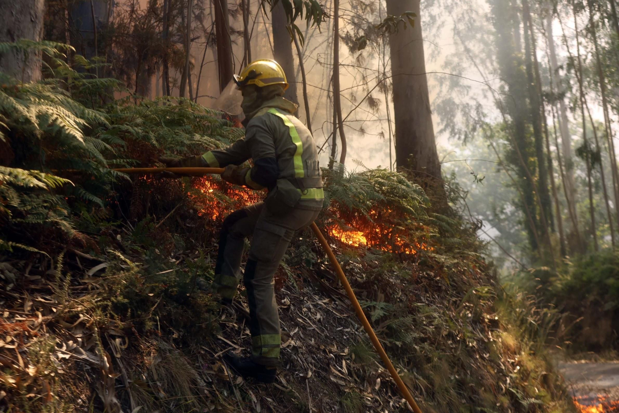 Espectacular incendio forestal en Meaño