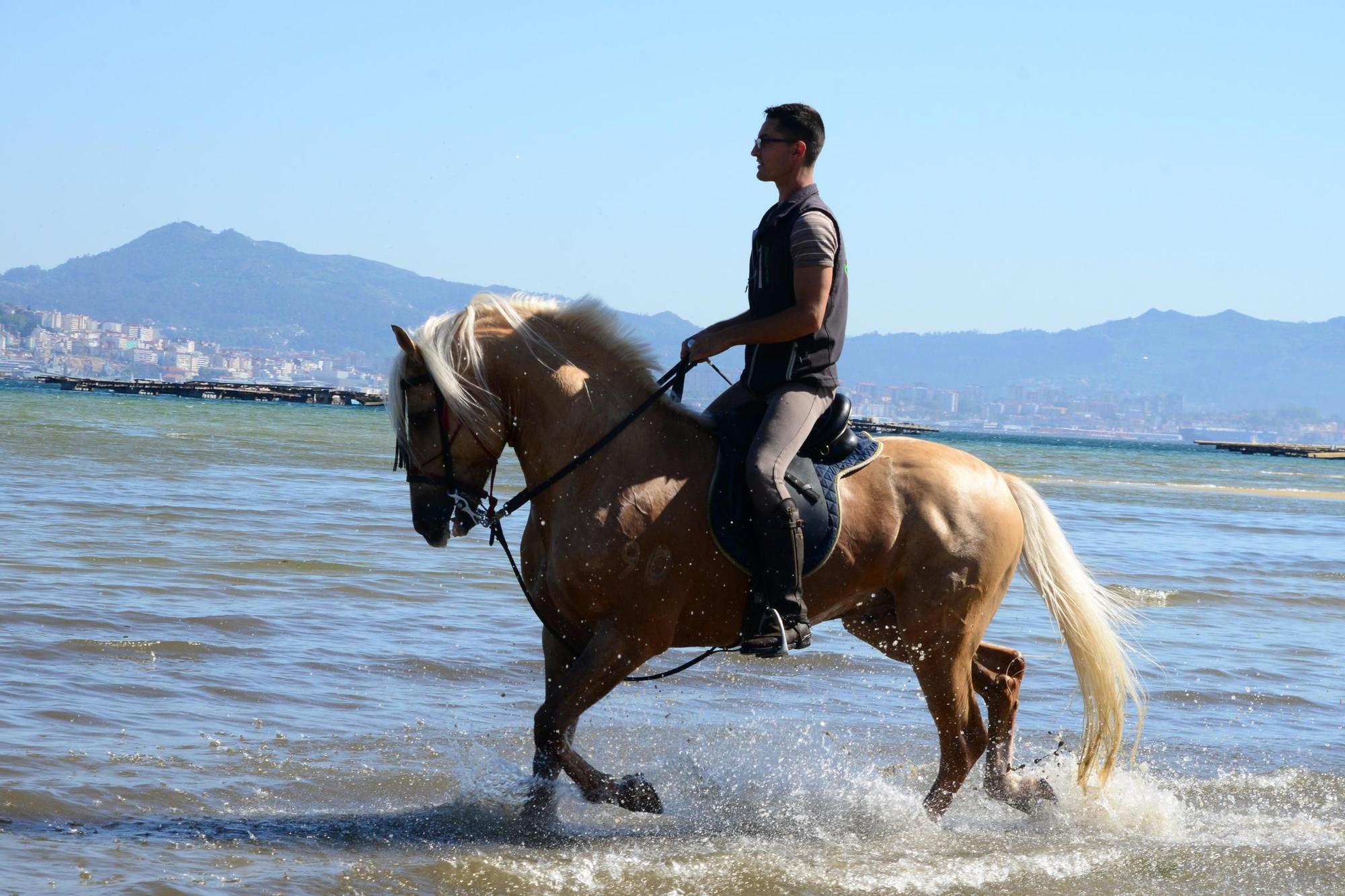 Una espectacular jornada a caballo por Moaña (I)