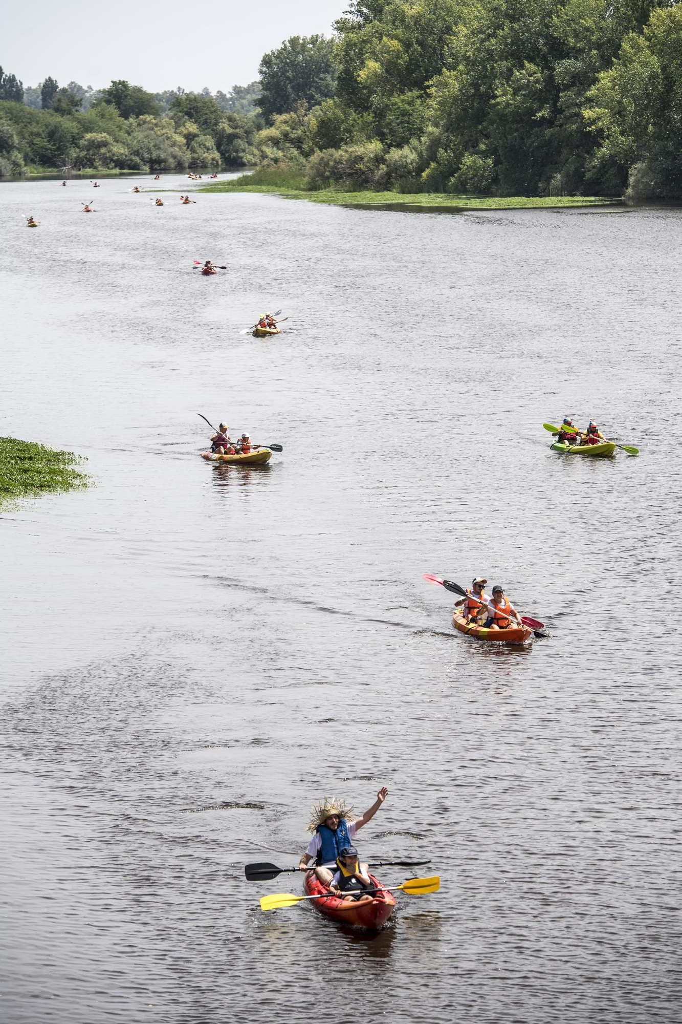 La XV edición del Descenso de Río Alagón, en imágenes
