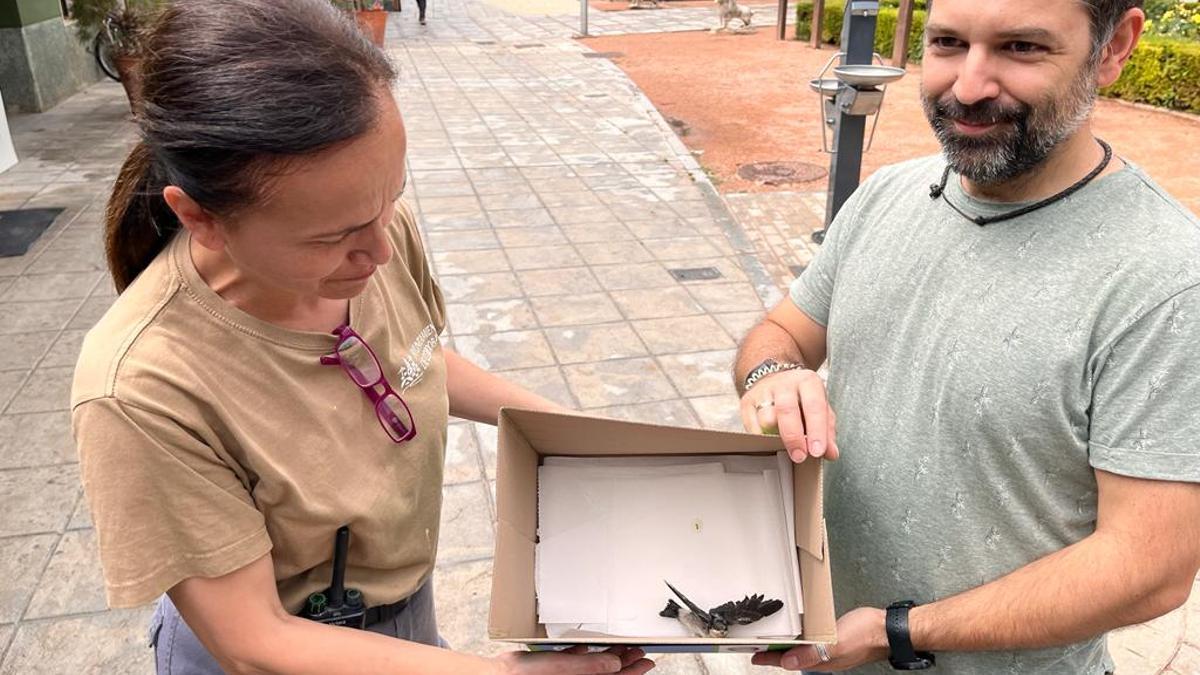 Dos voluntarios muestran una de las aves salvadas.