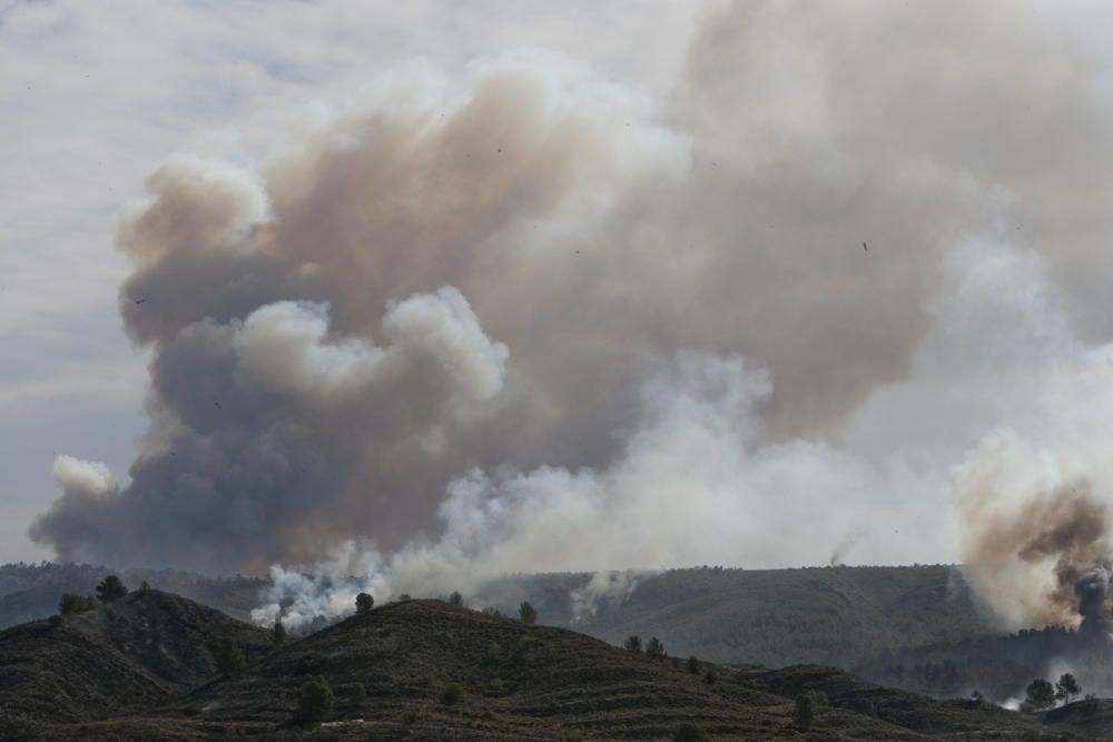 El fuego en los términos de Anna, Chella y Bolbait