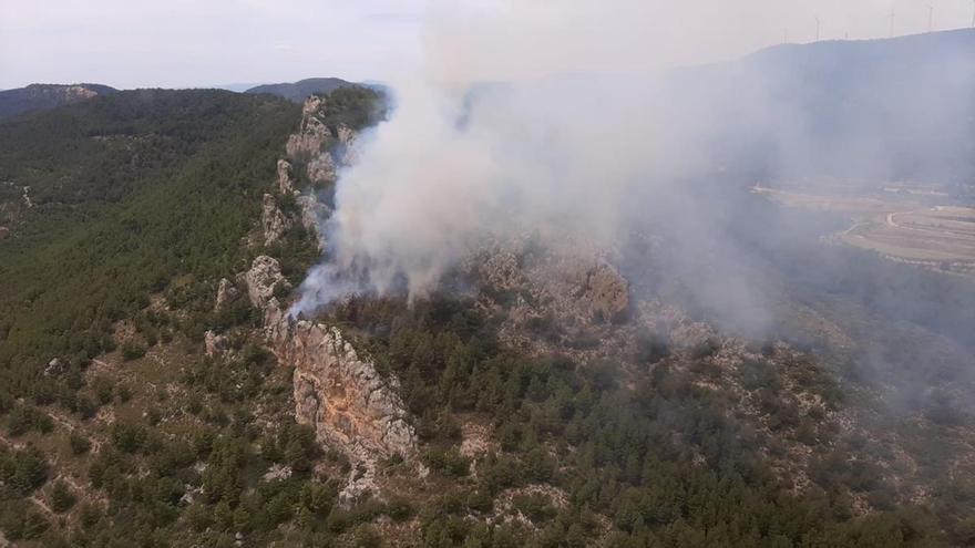 Tres medios aéreos trabajan para extinguir un incendio forestal en Higueruelas