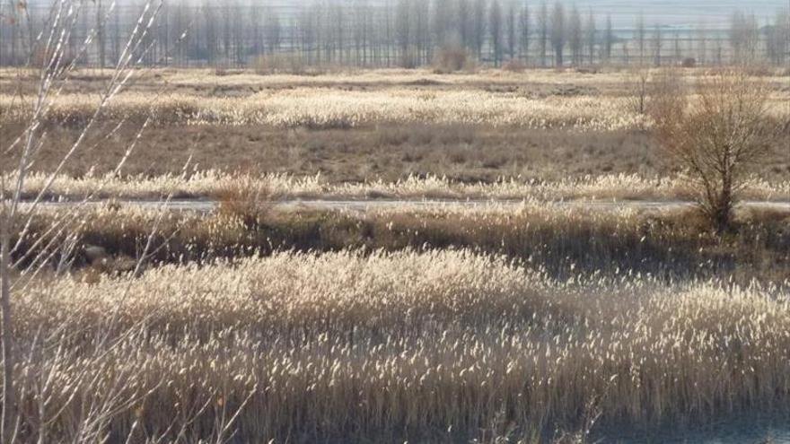 Los vecinos dicen ‘no’ a declarar zona protegida la finca El Prado