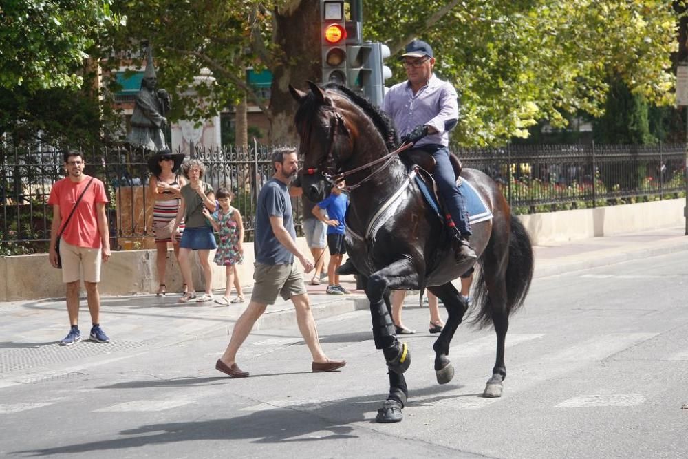 Día del caballo en la Feria de Murcia 2018