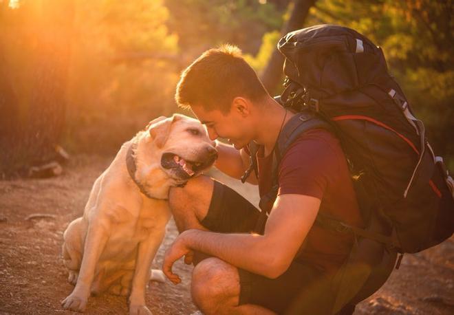 Camino de Santiago con mascota