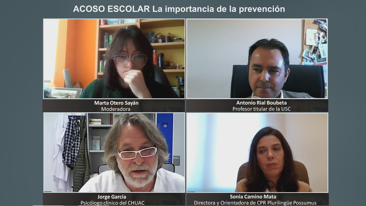 Profesionales de distintos ámbitos participan en el webinar sobre pervención del acoso escolar.   | // L.O.