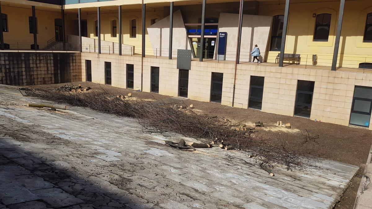 El patio central del centro municipal integrado de El Coto.