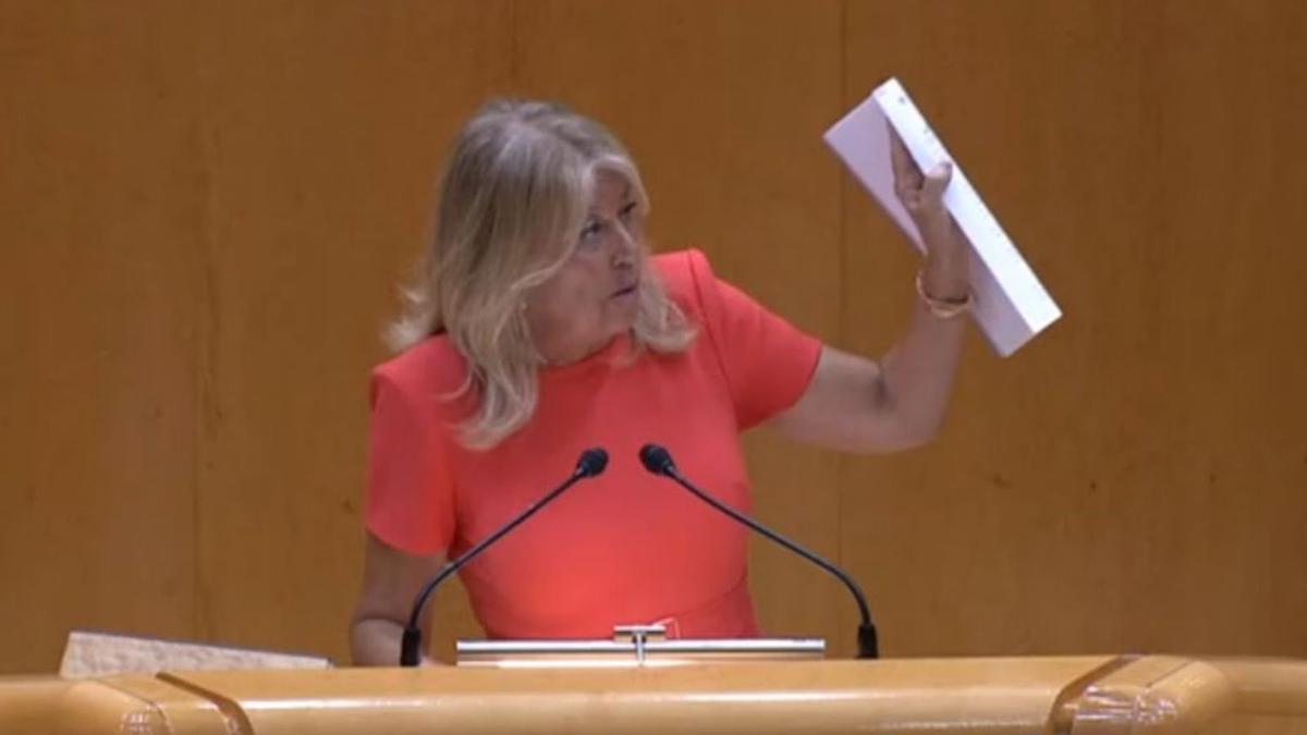 Ángeles Muñoz, durante una intervención en el Senado. | L.O.