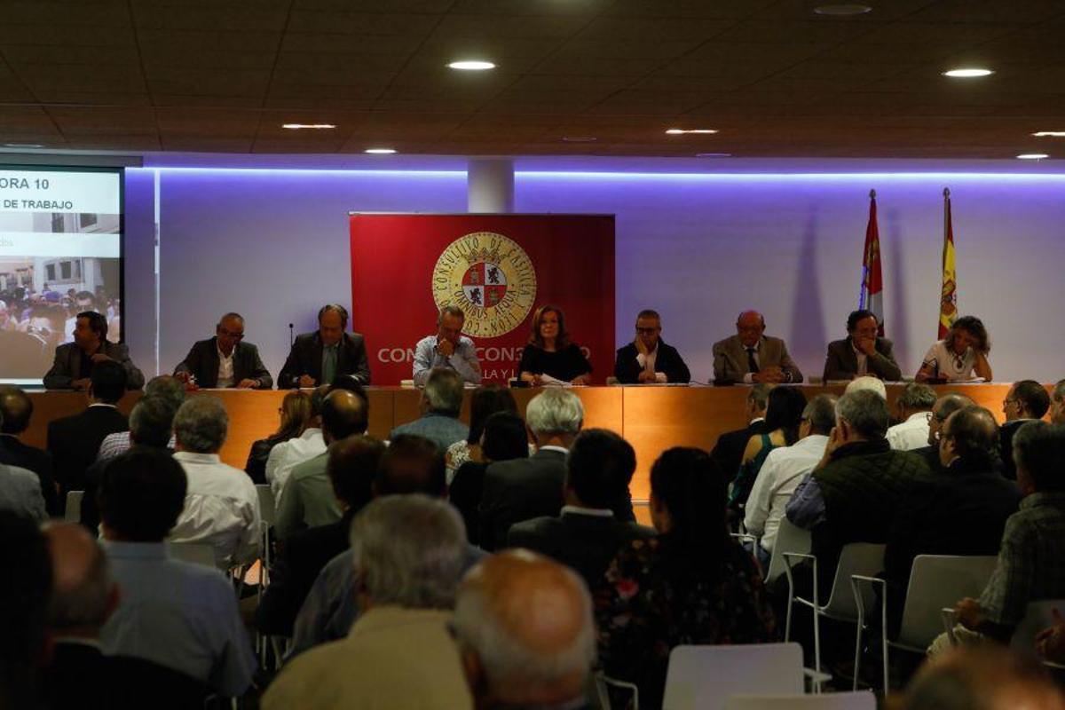 Presentación de los grupos de trabajo de Zamora 10