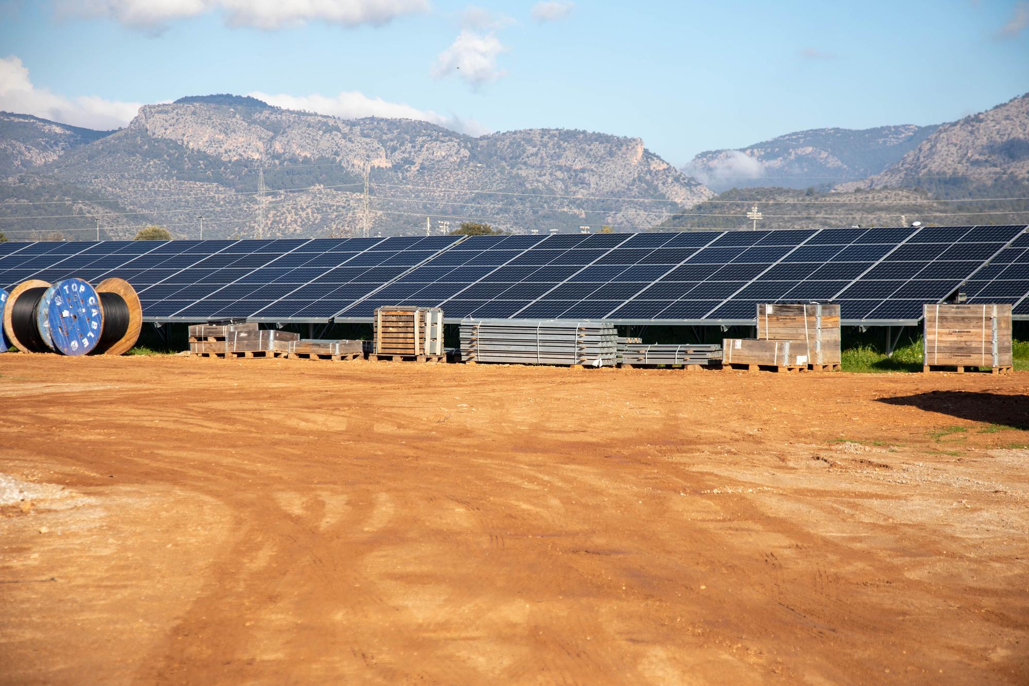 Agricultura en Mallorca: La conselleria prioriza que los parques fotovoltaicos se compensen con cultivos de más valor agrícola