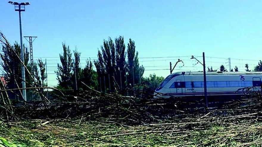 Un incendio obliga a interrumpir una hora el tráfico ferroviario