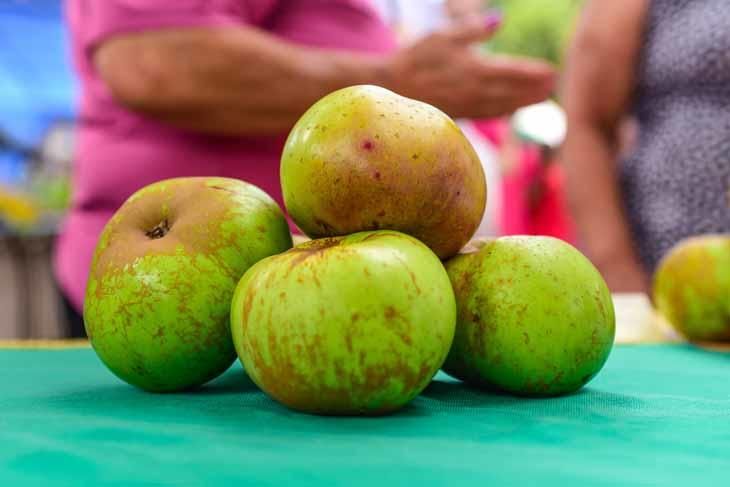 Fiesta de la manzana de Valleseco