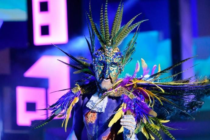 Carnaval 2019 | Concurso de Maquillaje Corporal del Carnaval de Las Palmas  de Gran Canaria - La Provincia