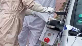 Susto en Puerto de la Cruz: un enjambre de abejas se instala en el retrovisor de un coche
