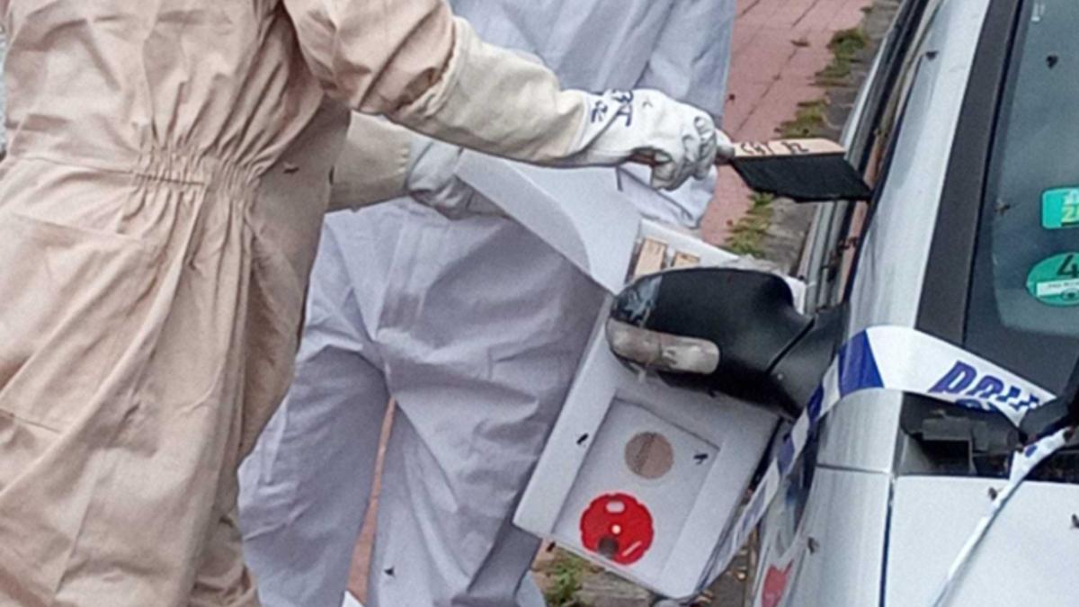 Retirada de un enjambre de abejas en un coche en Puerto de la Cruz.