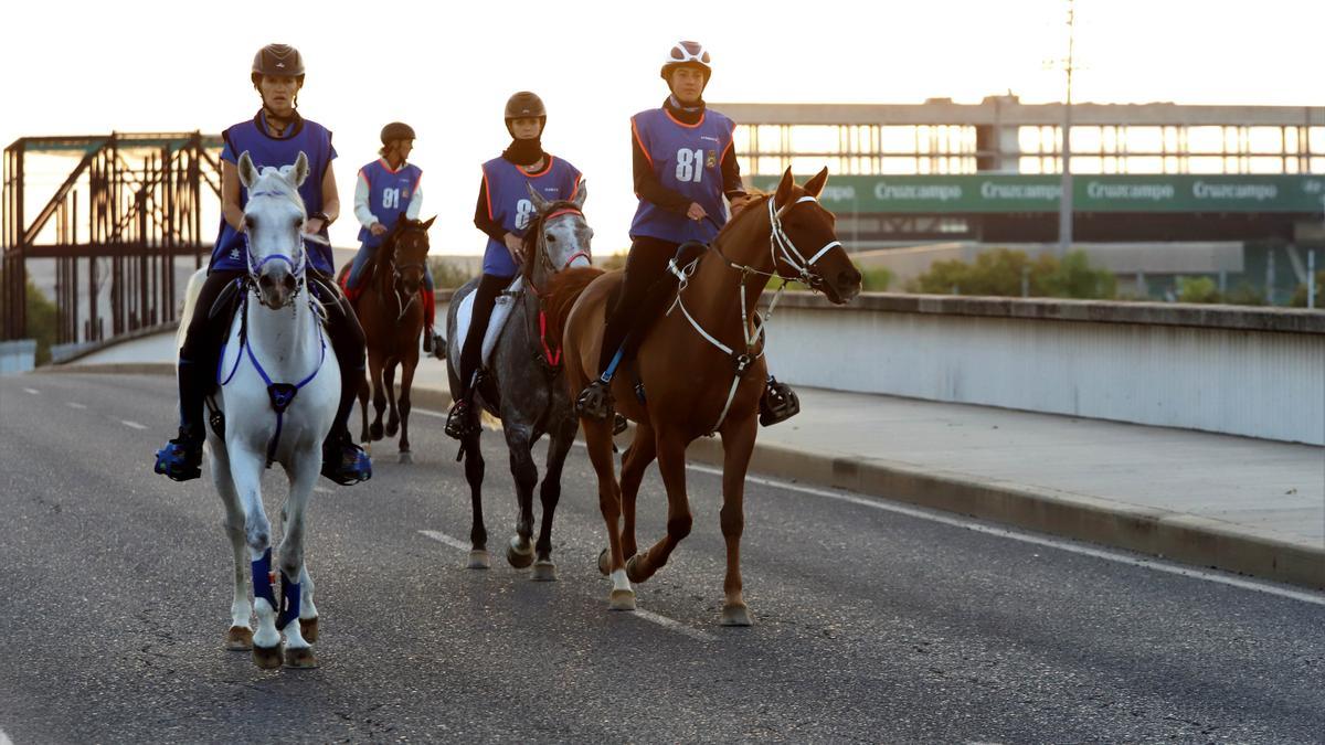 Primer Raid Córdoba para caballos árabes