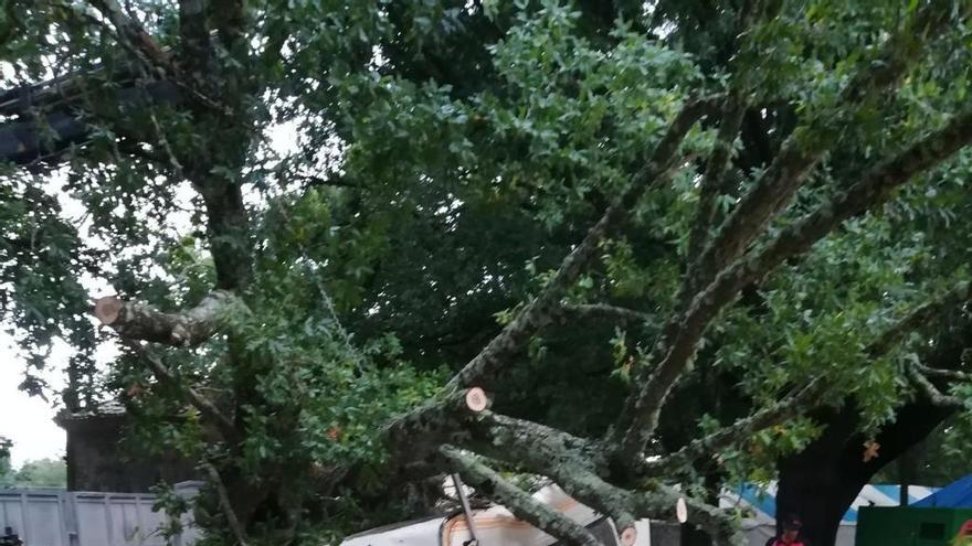 Rescatan a una mujer de una caravana aplastada por un árbol en Ourense