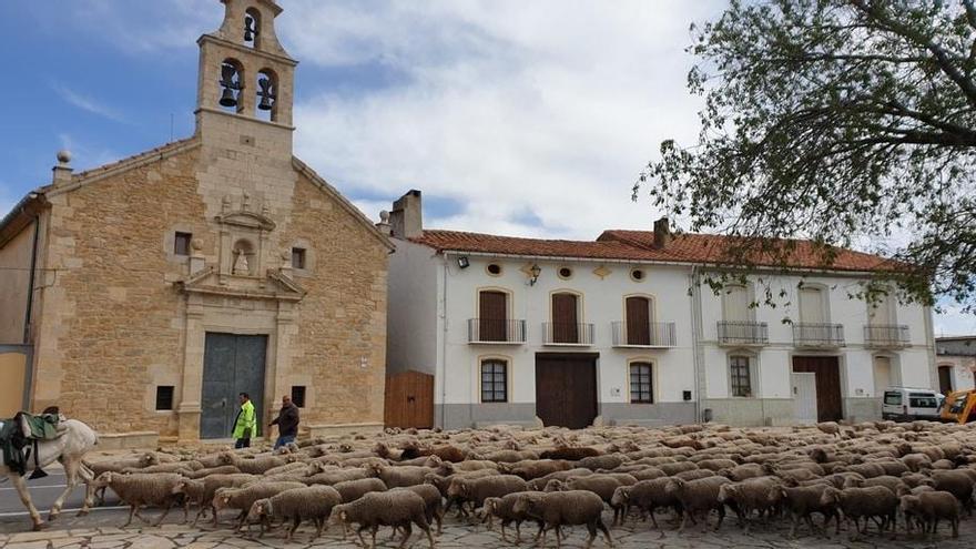 La trashumancia vuelve un año más al interior de Castellón